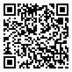 大掌门2下载二维码