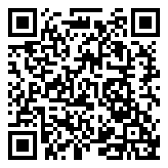 实璟飞车共享版下载二维码