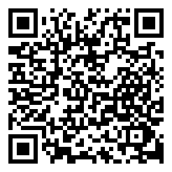 街头耳光侠破解版下载二维码