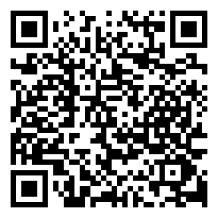 双截龙单机游戏手机版下载二维码