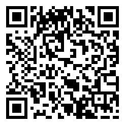 真实驾驶模拟器2022破解版下载二维码